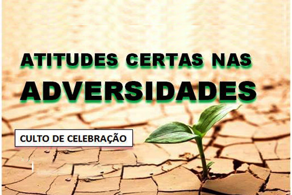 atitudedes certas nas adivercidades1