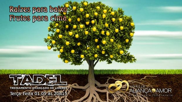 raizes para baixo fruto para cima